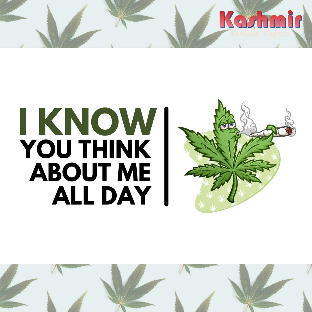 Kashmir_420's tweet photo. Mary jane on my mind!
.
Follow Us: @Kashmir_420
.
.
#memes😂#wednesdayvibes #wednesdaymotivation #bonglovers #bong #kashmir420 #kashmirrollingpapers #cannabiscommunity #snoopdogg #weedmemes #hilarious #memes4life #weedmemes #memes2good #memeslayer #memesdaily #shitpost https://t.co/WKPfGsxQv5