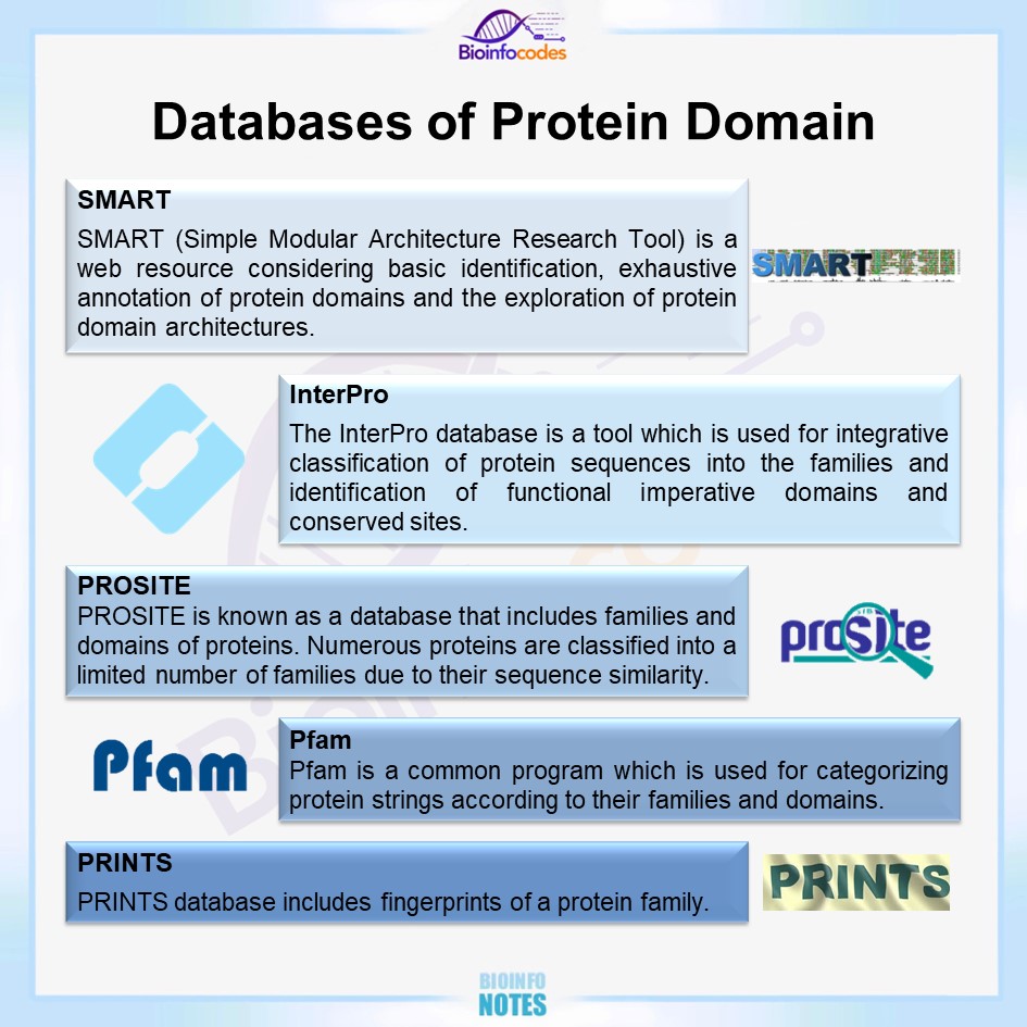 bioinfocodes's tweet photo. New #bioinfonotes about Databases of Protein Domain has been published !
#biology #bioinformatics #databases #PROSITE #InterPro #SMART #Pfam #PRINTS #protein #proteinfamily #families #proteinsequences #biologynotes https://t.co/IVanPhiuZc