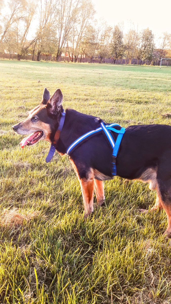 Cain 🌈 tweet media