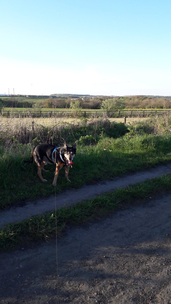 Cain 🌈 tweet media