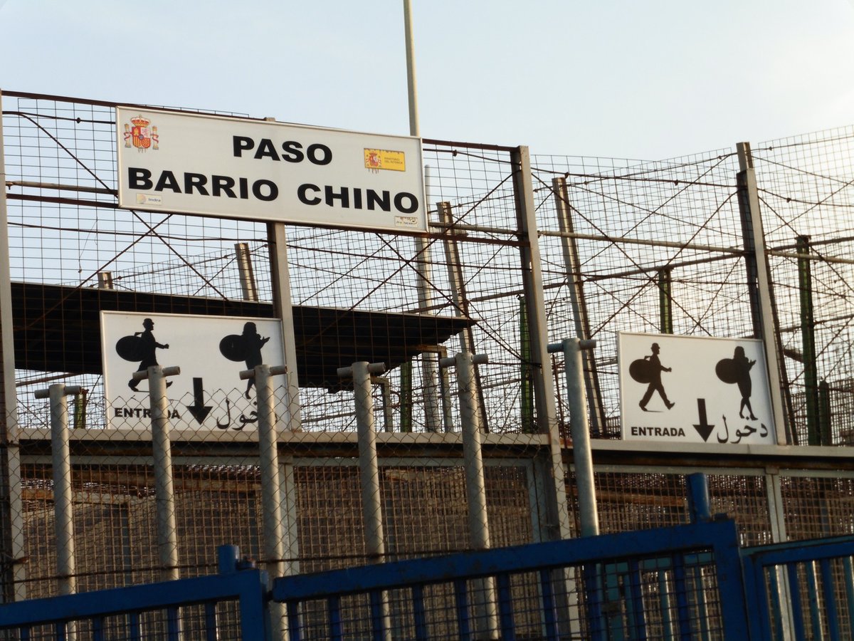 Solidary Wheels tweet media