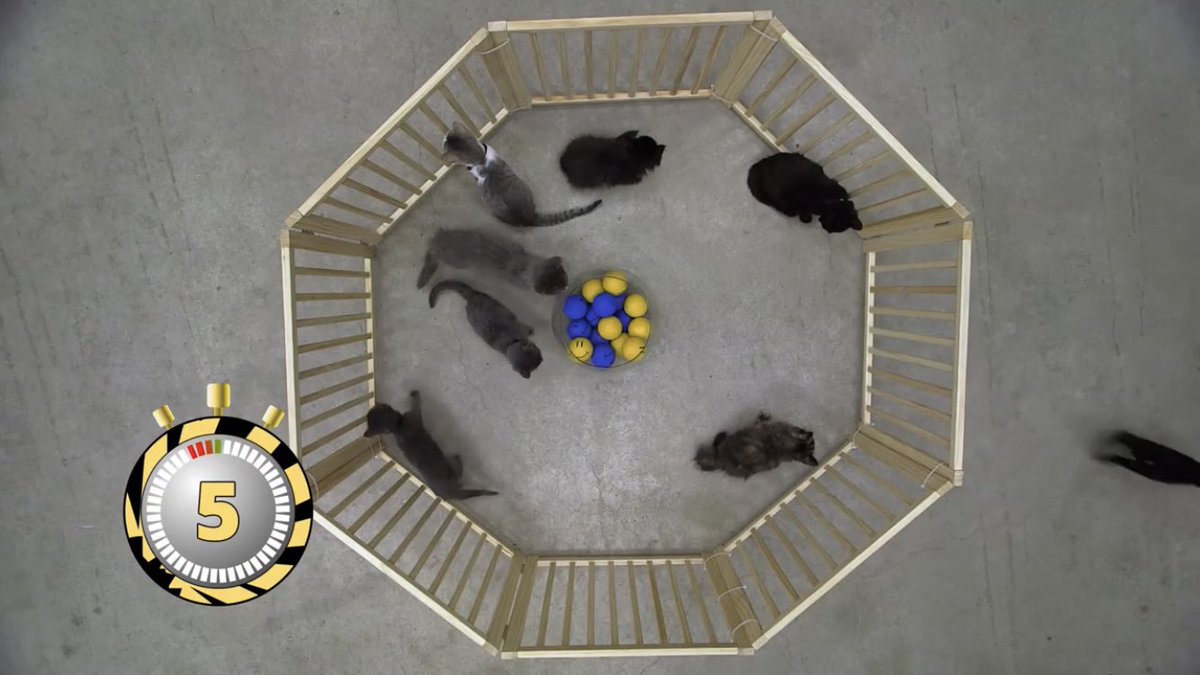 GZzyzyx's tweet image. Best #Atom explainer EVER
😂😂😂
My kid LOVES #ScienceMax 
#STEMkids #momlife #meow 
youtu.be/sNZLuC61qm0