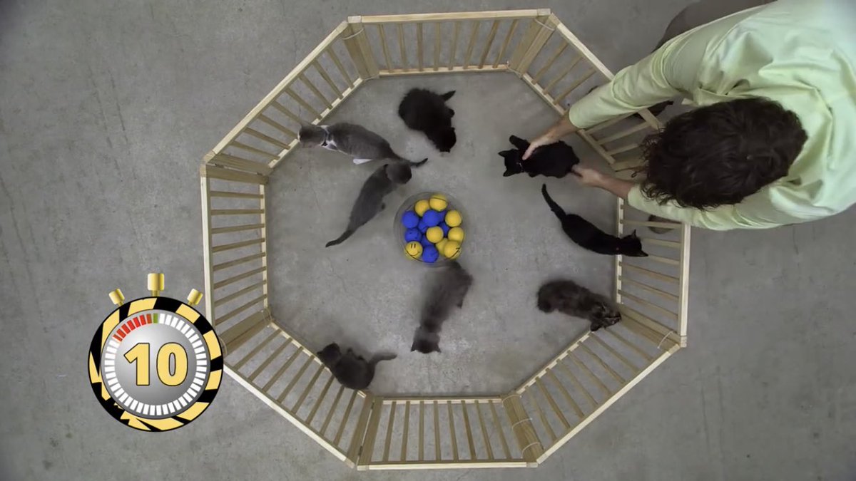 GZzyzyx's tweet image. Best #Atom explainer EVER
😂😂😂
My kid LOVES #ScienceMax 
#STEMkids #momlife #meow 
youtu.be/sNZLuC61qm0