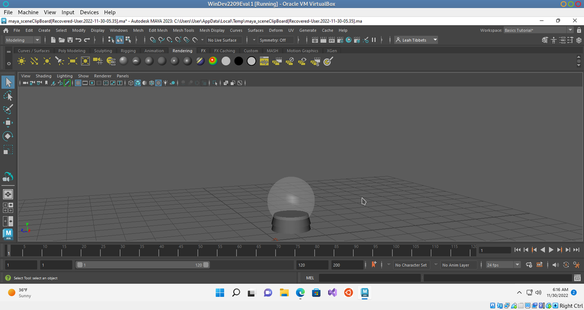 citadelbooksus's tweet image. Working on my first animation in Maya (a winter wonderland, right now have a snowglobe!) Using it to learn :) #Maya #Animation #BeginnerProject #Autodesk #3DAnimation