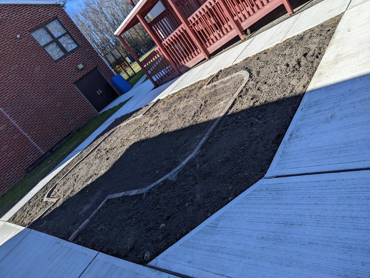Thanks to all in the community who donated their mums! (You might recognize the beautiful purple ones from Connie's 😁). Can't wait to see what this area looks like next year... Also, you can see a bit of the future formal courtyard garden in the background...<a href="/FSDVikings/">Farmingdale School</a>