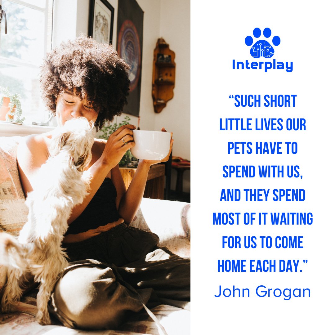 As fellow pet lovers, we know how it can feel to leave your pup at home during our busy lives. 

We strive to keep owners and their pets connected no matter the distance. 

We don’t want you to miss out on any time with your furry friends!

#petlover #mansbestfriend