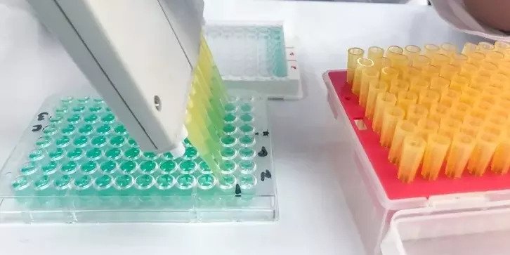 PrecisionAntib1's tweet photo. Our new ADC Development Package includes #fullyhuman or #humanized therapeutic #antibodydevelopment, and our new ADC Preclinical Package includes oncology panel target distribution analysis.
#AntibodyResearch #antibodydrugconjugates #cancerresearch #worldadc #targetselection https://t.co/1SS6X8bEgw