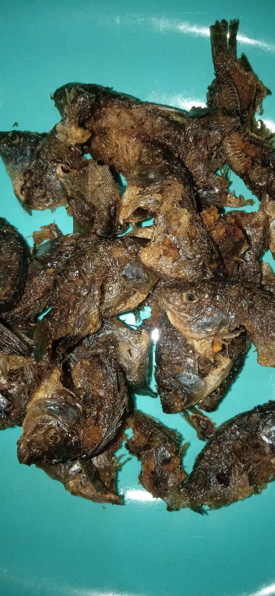 STE_ID's tweet photo. Makanan yang di kasi temen lumayanlah buat temen sambil minum secangkir kopi.
👍👍 https://t.co/cAG8yBTZIn