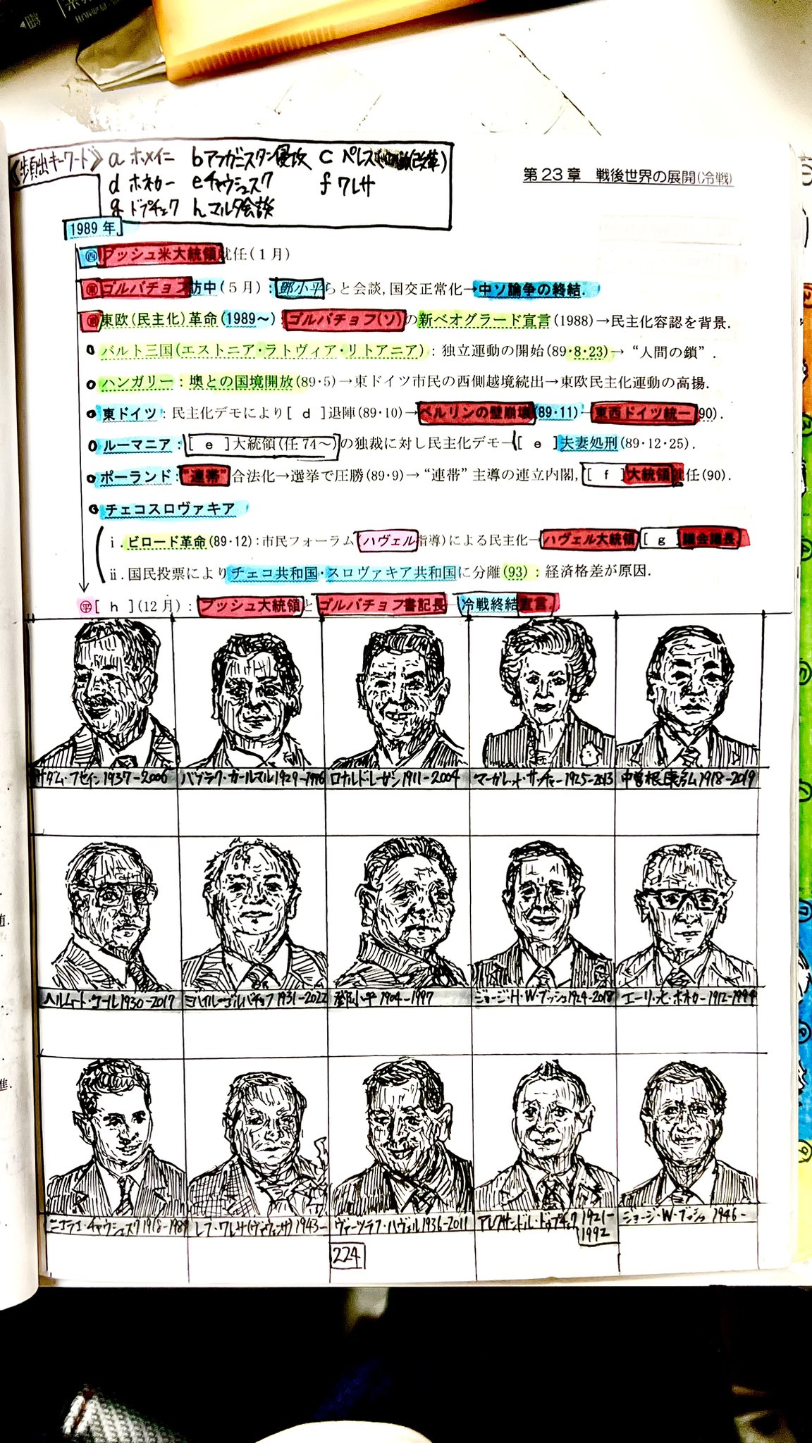 坂田 行人 Sakacek Coltd Twitter