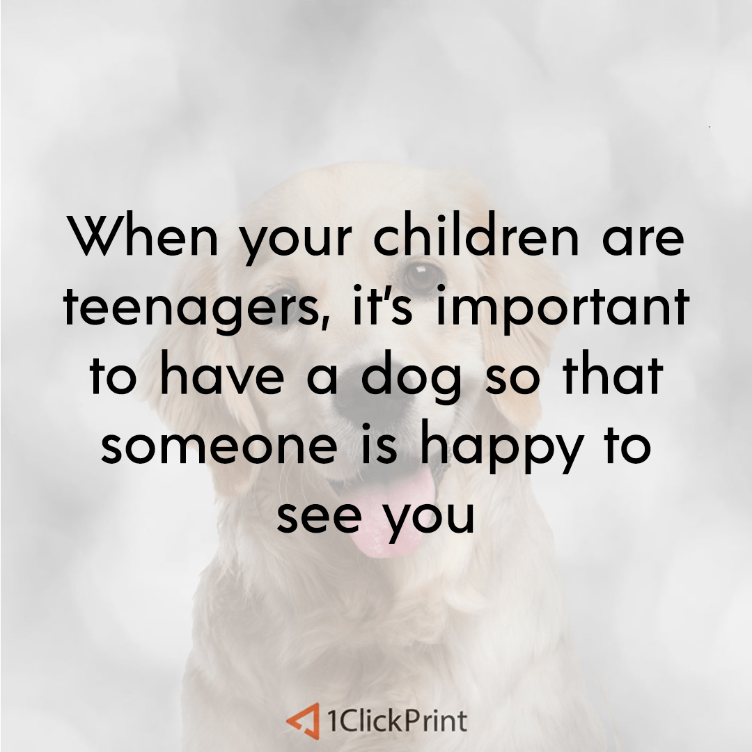 So true 🐕😃
