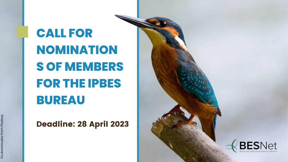 📢 Nominations of members for the @IPBES Bureau are now open!
Governments are invited to submit nominees for consideration during #IPBES10.
📆 Nominate by 28 April 2023
🔗 For more information, visit ow.ly/WVay50LrkjS

@AWF2021 @ASEANBiodiv @BeBiodiversity @Biodiversity_be