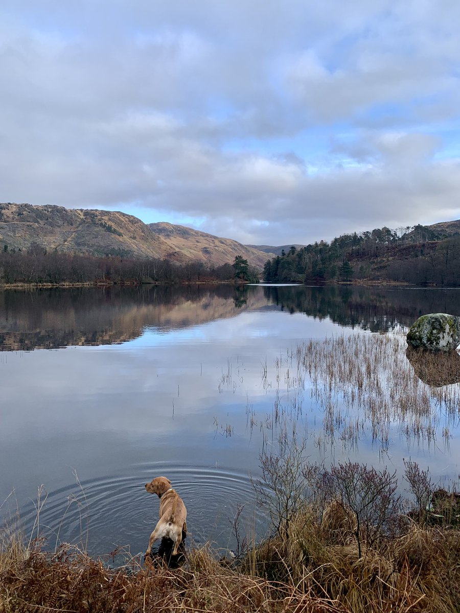 NatAlaMcC's tweet photo. In #Scotland this week enjoying #GallowayForestPark. Did a walk around #LochTrool yesterday and a walk around #KirroughtreeForest today. Lovely! @keswickbootco @ForestryLS #FoundMyForest @VisitScotland https://t.co/Hc2ZEoHQSw