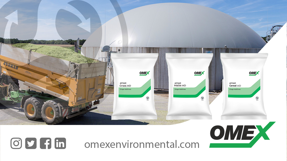 OMEXAgriculture's tweet photo. Enhanced AD Plant Performance with Silage Additives from OMEX Environmental.
Reduce fermentation losses, increase clamp and aerobic stability and reduce energy waste and help to assist with good quality and efficient biogas production.
#OMEXEnvironmental #silageadditives https://t.co/7LdLhjMKqA