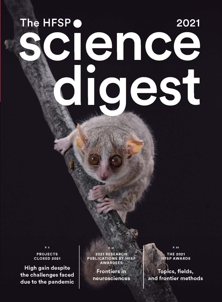 HFSP's tweet photo. Good news😃 HFSP launches the Science Digest first edition! Take a look: https://t.co/gy3MrNdrro
#hfspsciencedigest https://t.co/uEO0bPcTTf