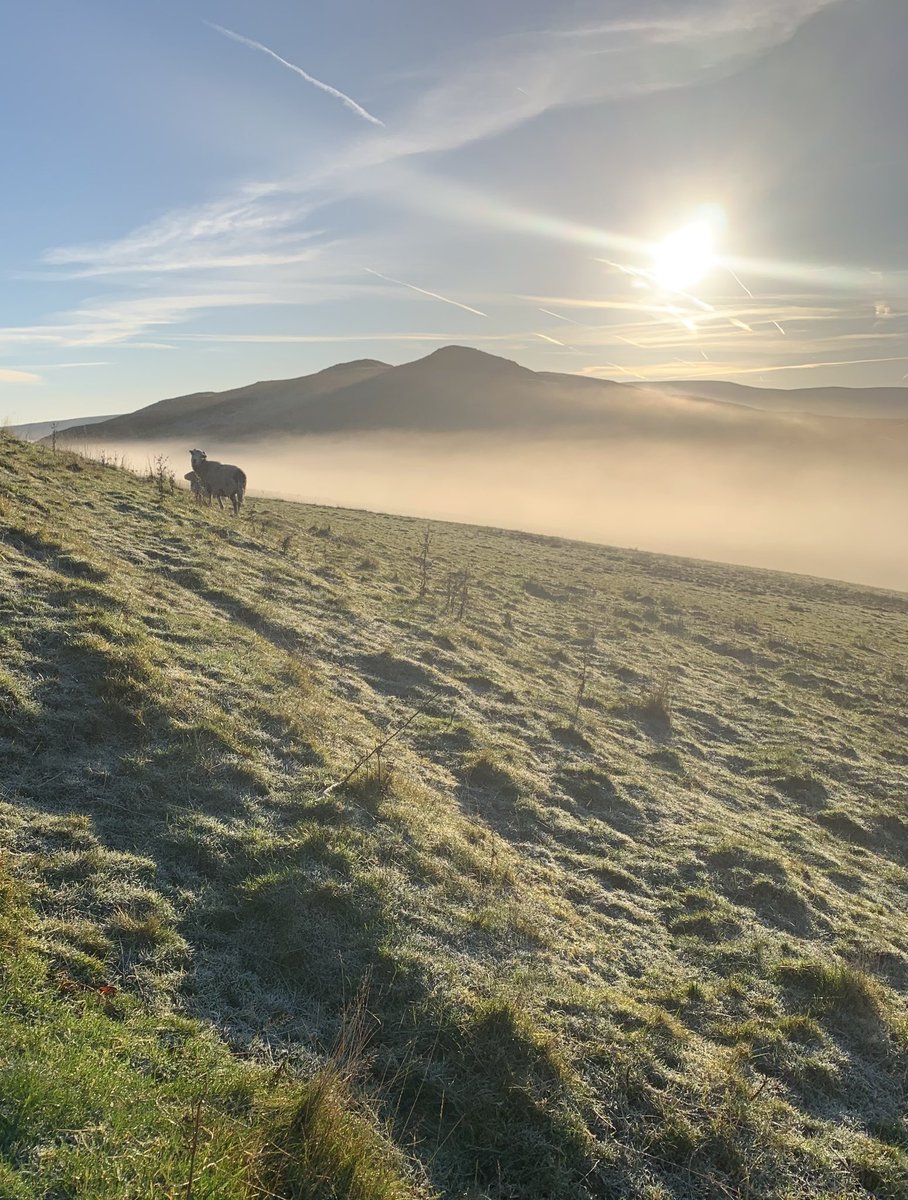 Helen Matthew ⛰🥾🏕🏑🏃‍♀️🚴‍♀️🏋🏼‍♀️ tweet media