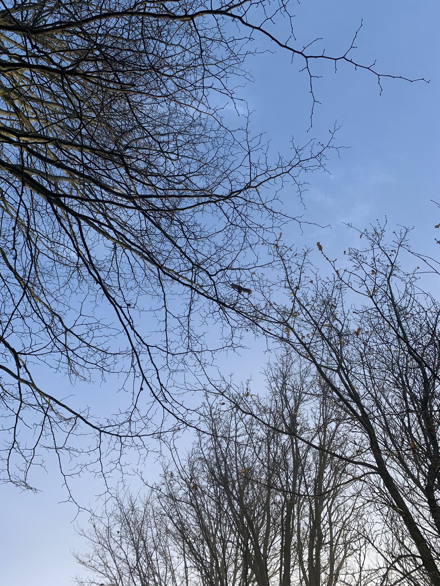 Helen Matthew ⛰🥾🏕🏑🏃‍♀️🚴‍♀️🏋🏼‍♀️ tweet media