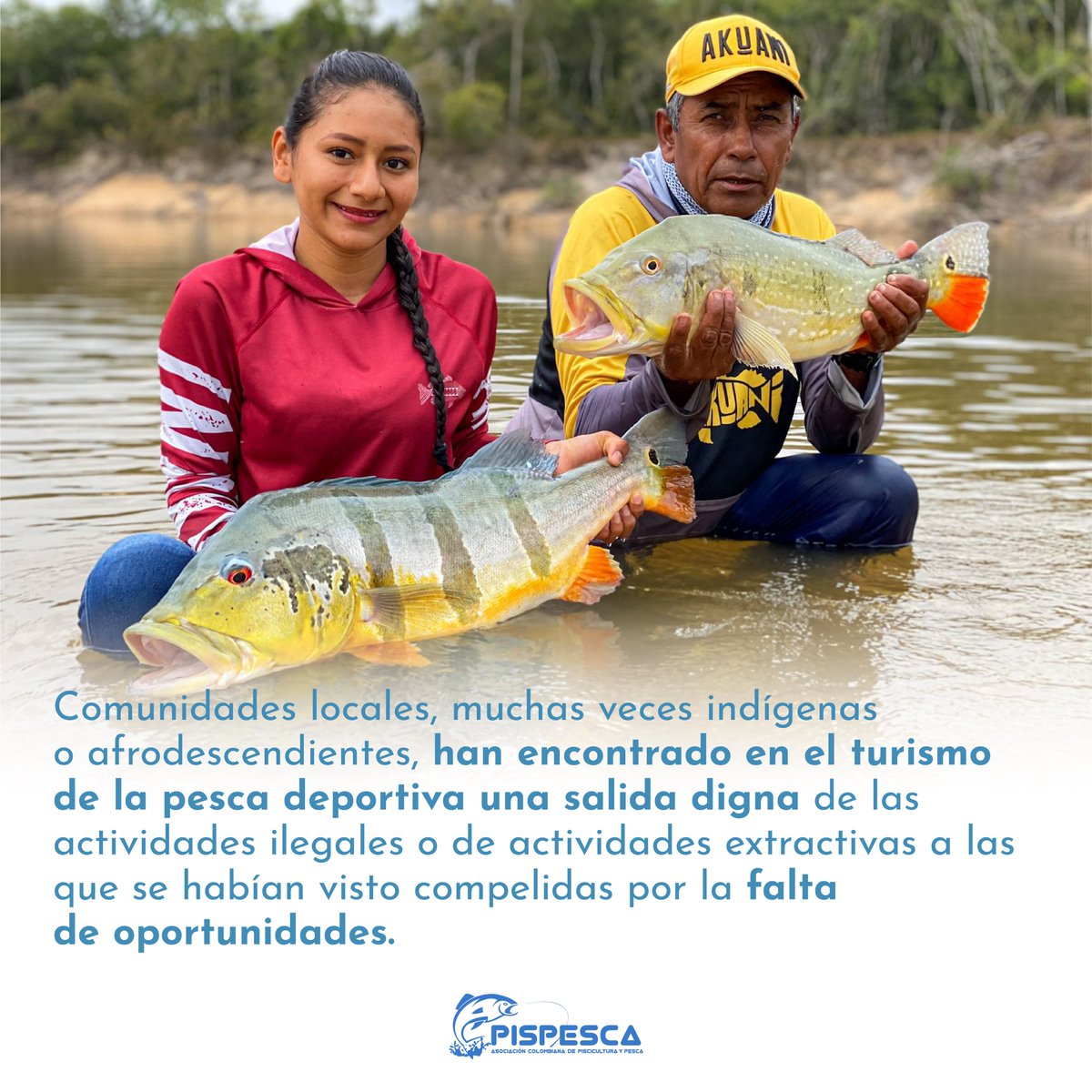 PispescaO's tweet photo. La pesca deportiva ha traído un desarrollo verde a esas zonas que estaban conminadas a una difícil situación económica, social y ecológica.
#SalvemosLaPescaDeportiva #YoApoyoLaPescaDeportiva #Pispesca #PescaDeportiva #Fishing https://t.co/IdzeyYLAQ0