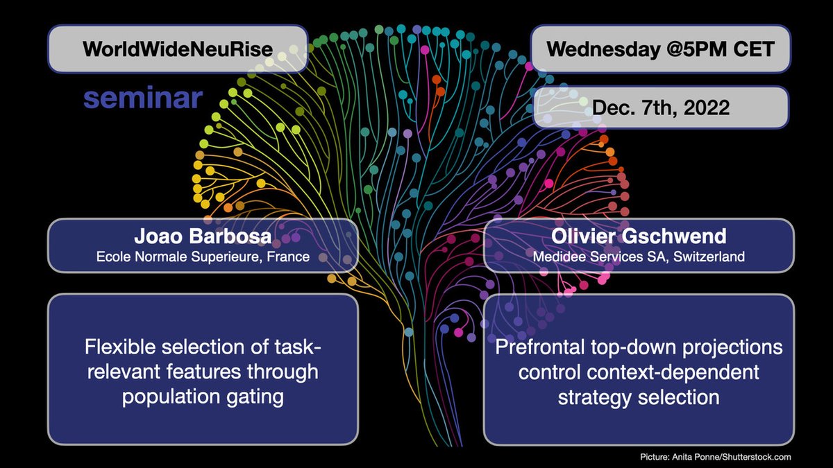 Next Wednesday <a href="/worldwideneuro/">World Wide Neuro 🧠🗺️</a>  : two talks on context-dependent computation, by @jmourabarbosa &amp; <a href="/OlivierGschwend/">Olivier Gschwend</a> 🤸‍♀️🧠