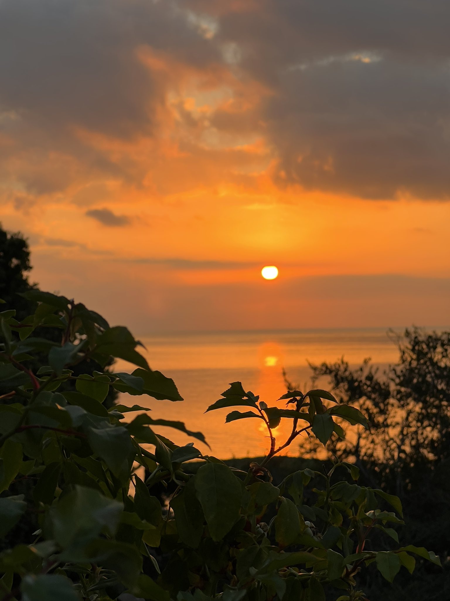 Real Sun Rising