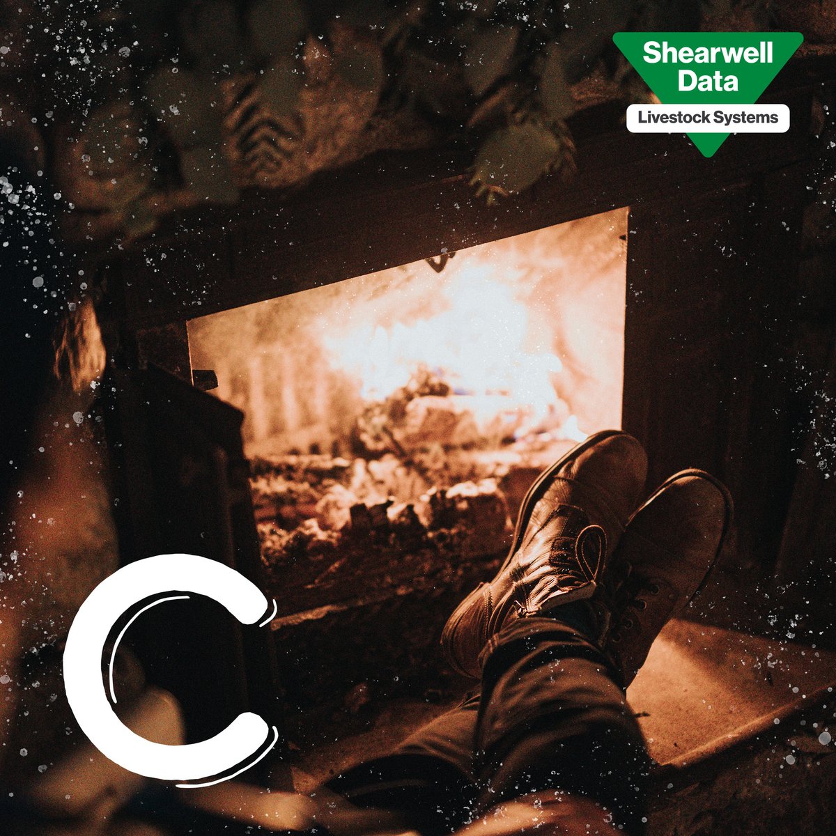 Shearwell Data Ltd tweet media