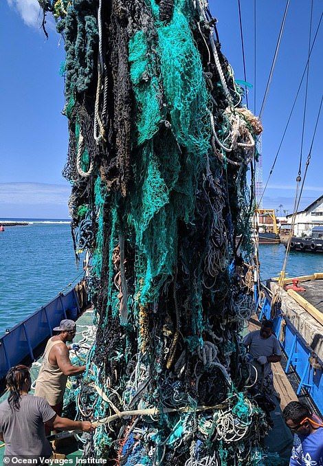 #Ocean Voyages Institute dragged up this 5-Ton Ghost Net of abandoned fishing gear from the Pacific Ocean during a 25-day #plastic haul. Abandoned fishing gear is responsible for deaths of 380,000 marine #animals yearly🦋LJC

oceanvoyagesinstitute.org

#CleanUp #EarthKeepersUnite