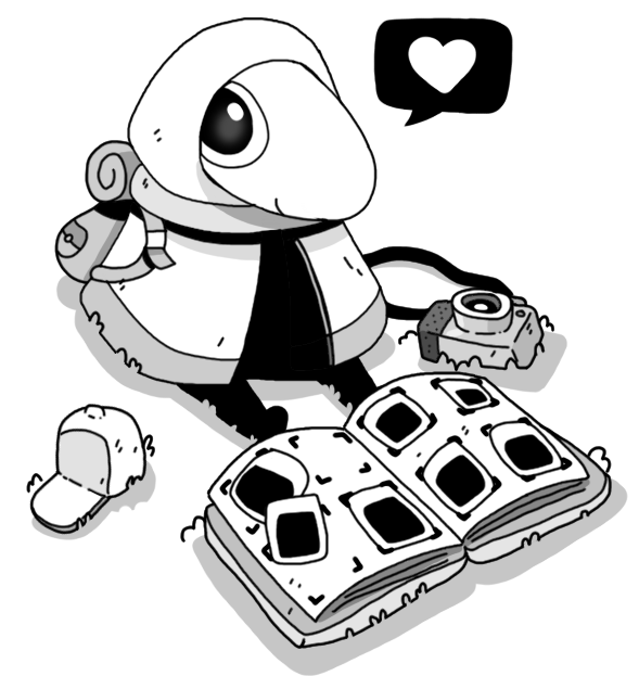 TOEM 📸 tweet media