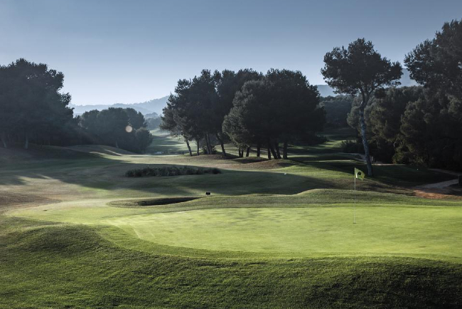 GolfTeeTimeService tweet media