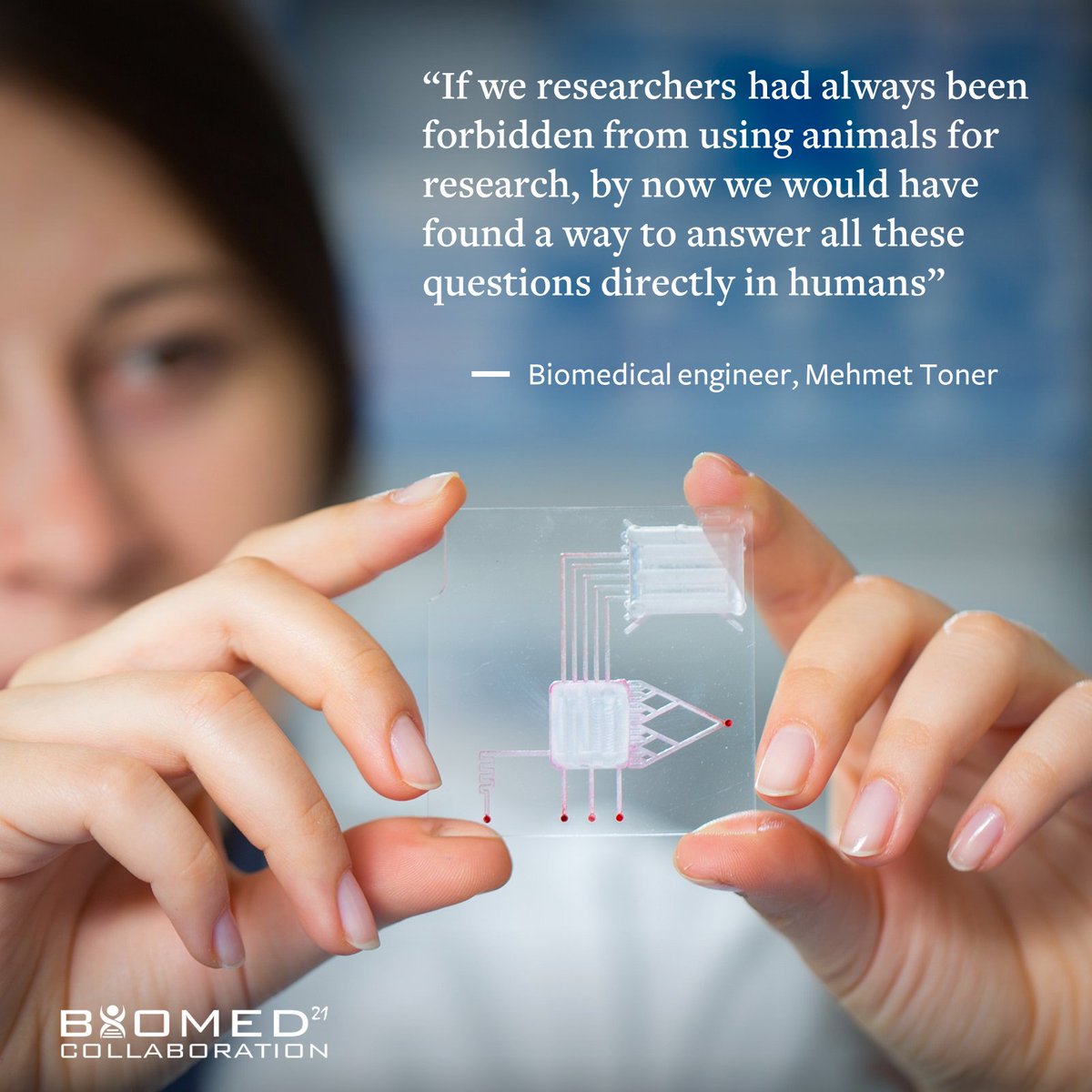 BioMed_21's tweet photo. Develop and test drugs by mimicking human organs’ biomechanical functions and complex responses—the #organchip revolution is here! 🚀https://t.co/XrKxLSQU3P https://t.co/vLtTgymRWY