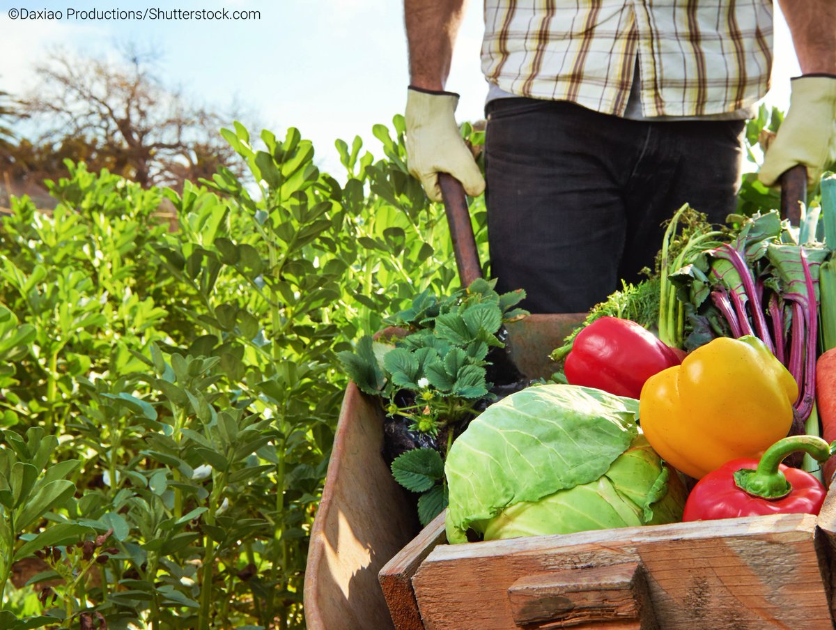 CORDIS_EU's tweet photo. As we say goodbye to November, we say hello to.. Our #ProjectOfTheMonth!
With the EU-funded @BiovalueProject, we go from fork 🍽️ to farm 👨🌾 for a better agro-biodiversity throughout the food chain.
How? Thanks to a simulation tool 👉 https://t.co/OBdJgzWZ95
#agriculture https://t.co/SxLDkY64cA