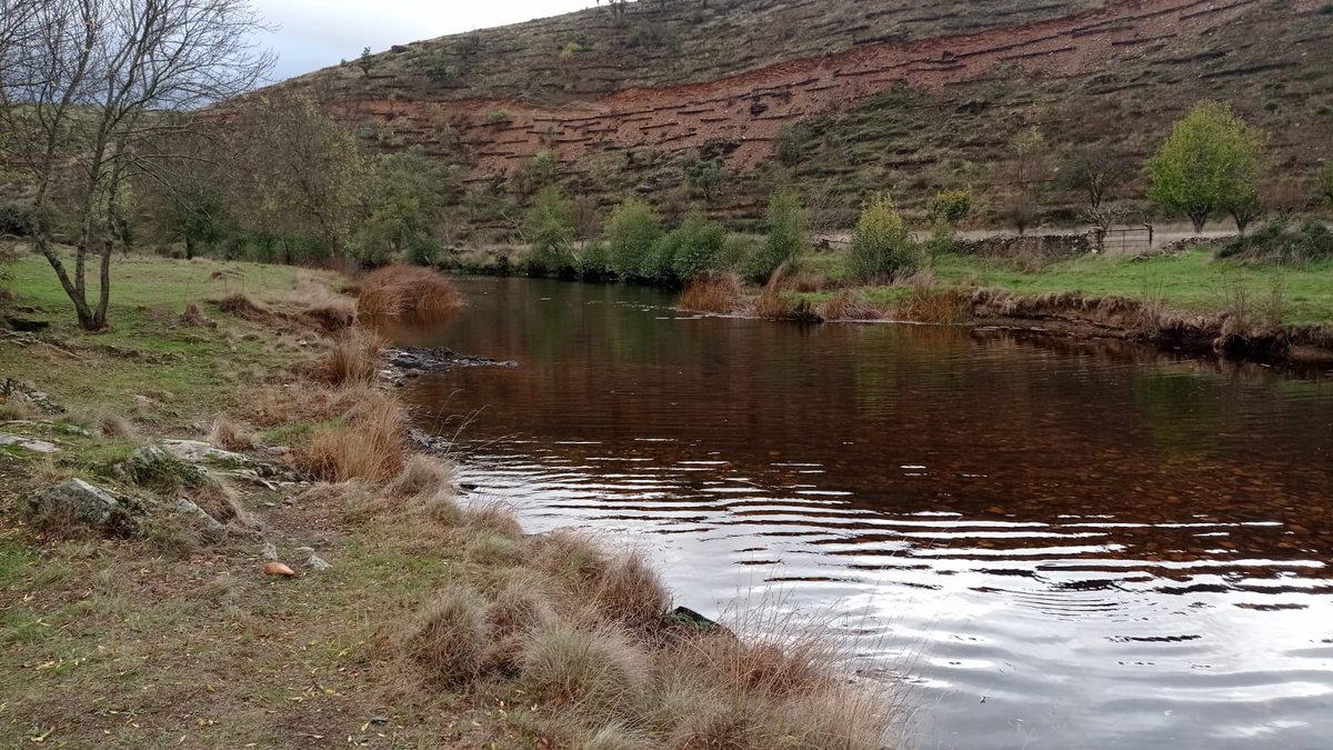 rio aliste (@rioaliste) on Twitter photo 