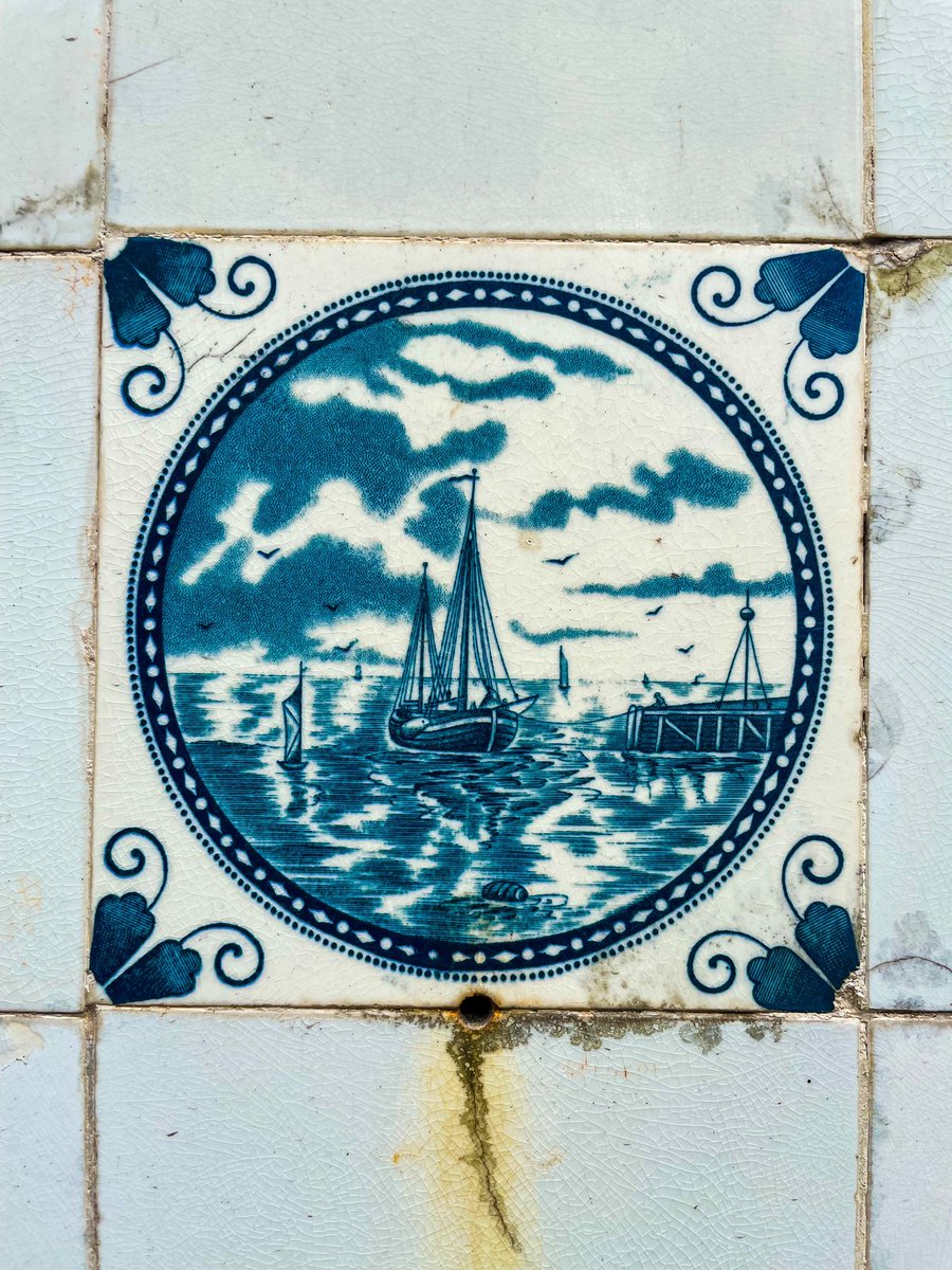 jith_joseph's tweet photo. #fortkochi 🌸 https://t.co/8L7FJyCKtP