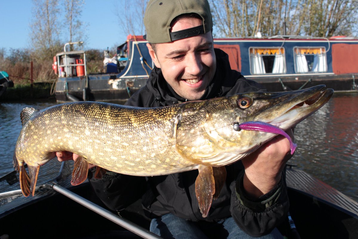 HCRFISHING's tweet photo. Nice Pike from last week on the Boat 🚤 90cm 
#Pike #esox #pikefishing #fishing #boatfishing #lurefishing #FYP #fypシ https://t.co/371r9GCThu