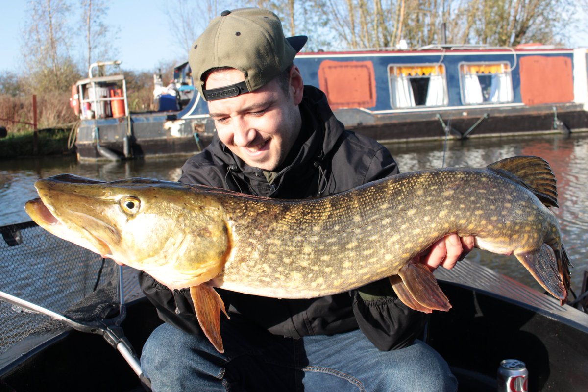 HCRFISHING's tweet photo. Nice Pike from last week on the Boat 🚤 90cm 
#Pike #esox #pikefishing #fishing #boatfishing #lurefishing #FYP #fypシ https://t.co/371r9GCThu