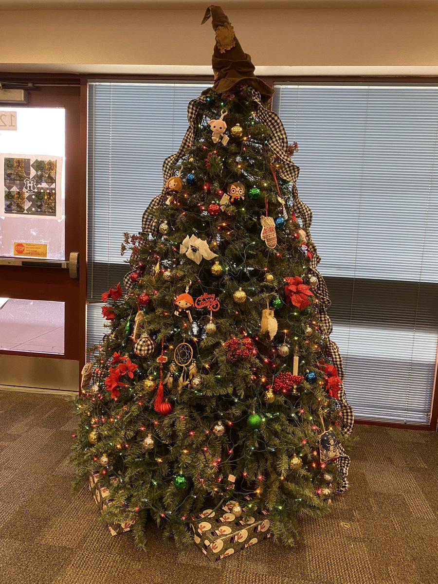 NRodriguez_LMS's tweet photo. Itβs beginning to look like a Harry Potter Christmas @ESerna_PK8 . #SISD_Libraries @Sparks_Interest #Librarybrags https://t.co/1pY3cyfnaQ