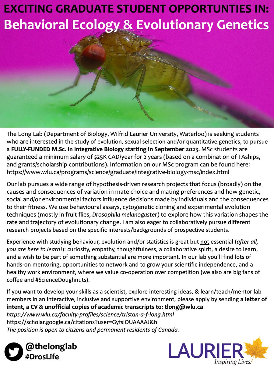 I'm looking for the newest member of the #DrosLife lab! Opportunity to do a MSc on the causes & consequences of behavioural variation. The position is funded ($25K/yr for 2 years) & available for 🇨🇦 citizens/permanent residents. Email tlong@wlu.ca if interested. PS: Please RT!