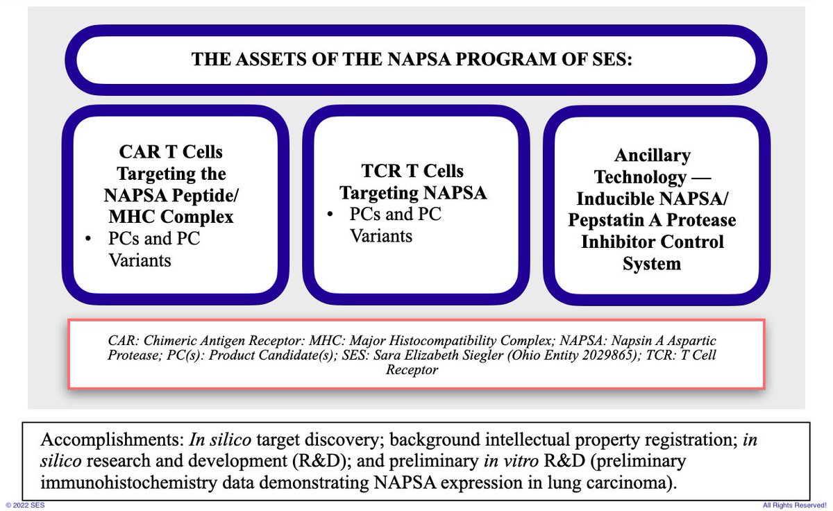 sesiegler's tweet photo. High-risk with high reward potential.
#grantwriting #CARTcells #TCRTcells #CARTCR #cellbasedgenetherapy #genetherapy #preliminarydata #IHC #womeninSTEM https://t.co/QE18YJ9jQg