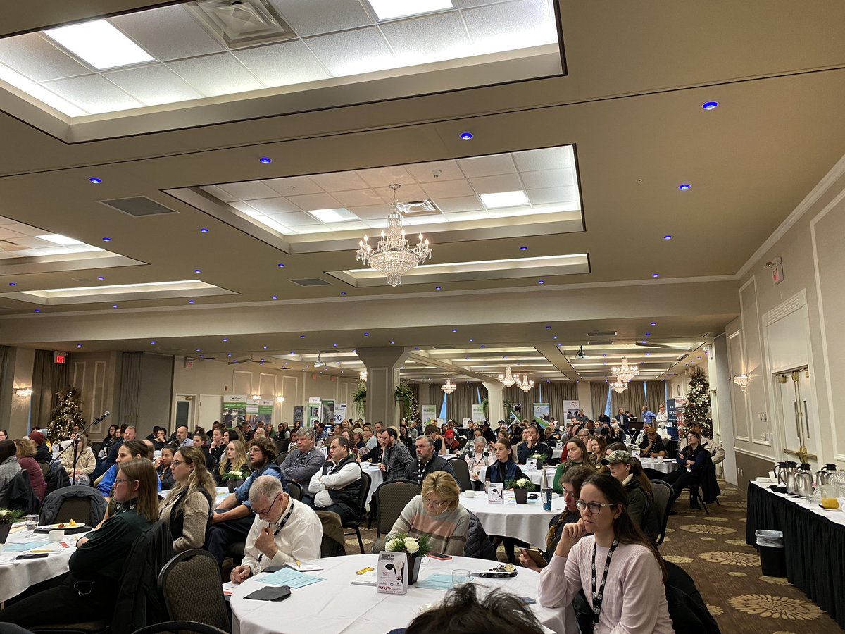 CalfCareCorner's tweet image. It’s a sold out event today at the Healthy Calf Conference! You can purchase the recordings after today if you missed out. #calfcare #calf #healthycalf #hcc2022 #calfwelfare #calfhealth #fullhouse