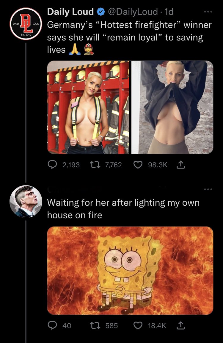 Braindead Bird App tweet media
