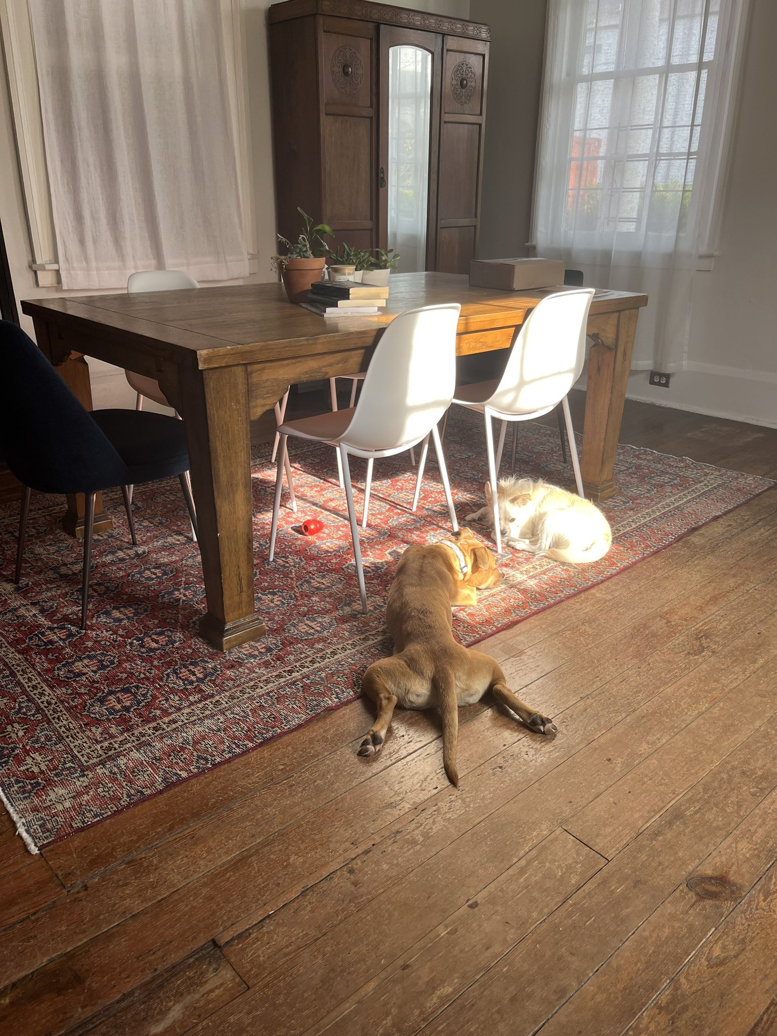 Brandy Jensen on Twitter "https//t.co/rIRSDWCl4z" / Twitter