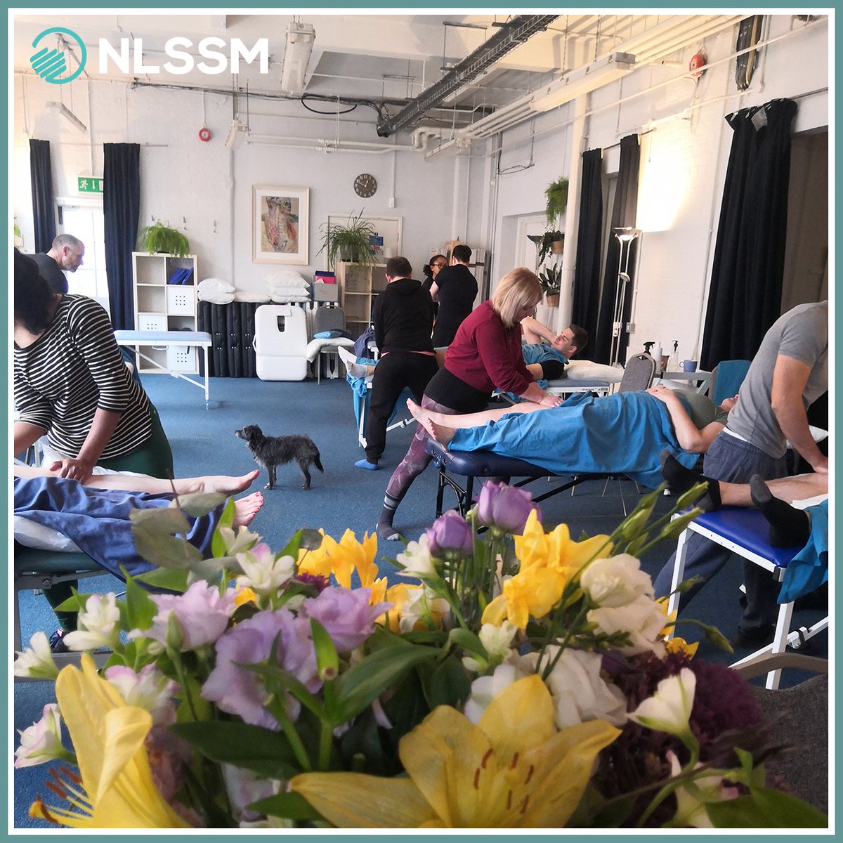 🎉 The last Introduction/Refresher workshop of 2022 is now complete!

We have had another interesting group that included teachers, members of the police force, dancers and more. This course really is for everyone!  

More info: nlssm.com/massage-introd…
