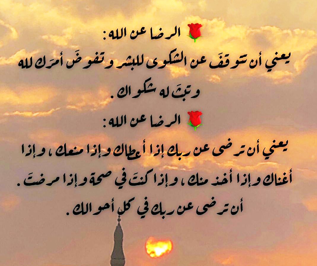 Nawal_Azlz tweet media