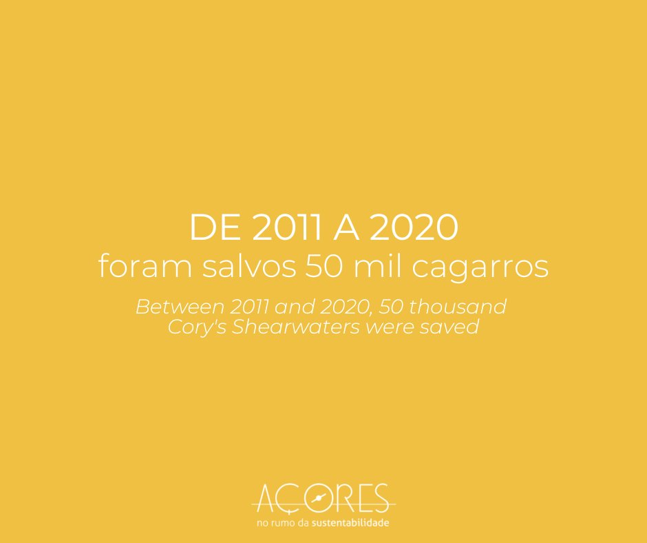 AzoresSustain's tweet photo. Graças à campanha 𝗦𝗢𝗦 𝗖𝗮𝗴𝗮𝗿𝗿𝗼, foram salvos 50 mil aves em 10 anos na Região Autónoma dos Açores.
O Governo Regional dos Açores continua empenhado em diminuir os pontos de iluminação para garantir a sobrevivência dos cagarros.
#azores #soscagarro #birds #sustainability https://t.co/tmoCRLgpuA