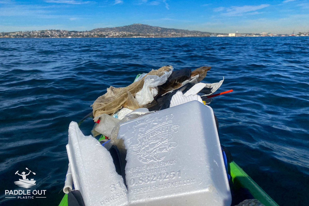 PadleOutPlastic's tweet photo. We have plucked >60,000 pieces of polystyrene from the water in 3 1/2 years. Worse is what we couldn’t—elusive little bits still out there. It’s past time to #banstyrofoam 
Action for #noplasticnovember Say no to food vendors using #polystyrene 
#plasticpollution #nostyrotogo https://t.co/GYIKZFpJqc