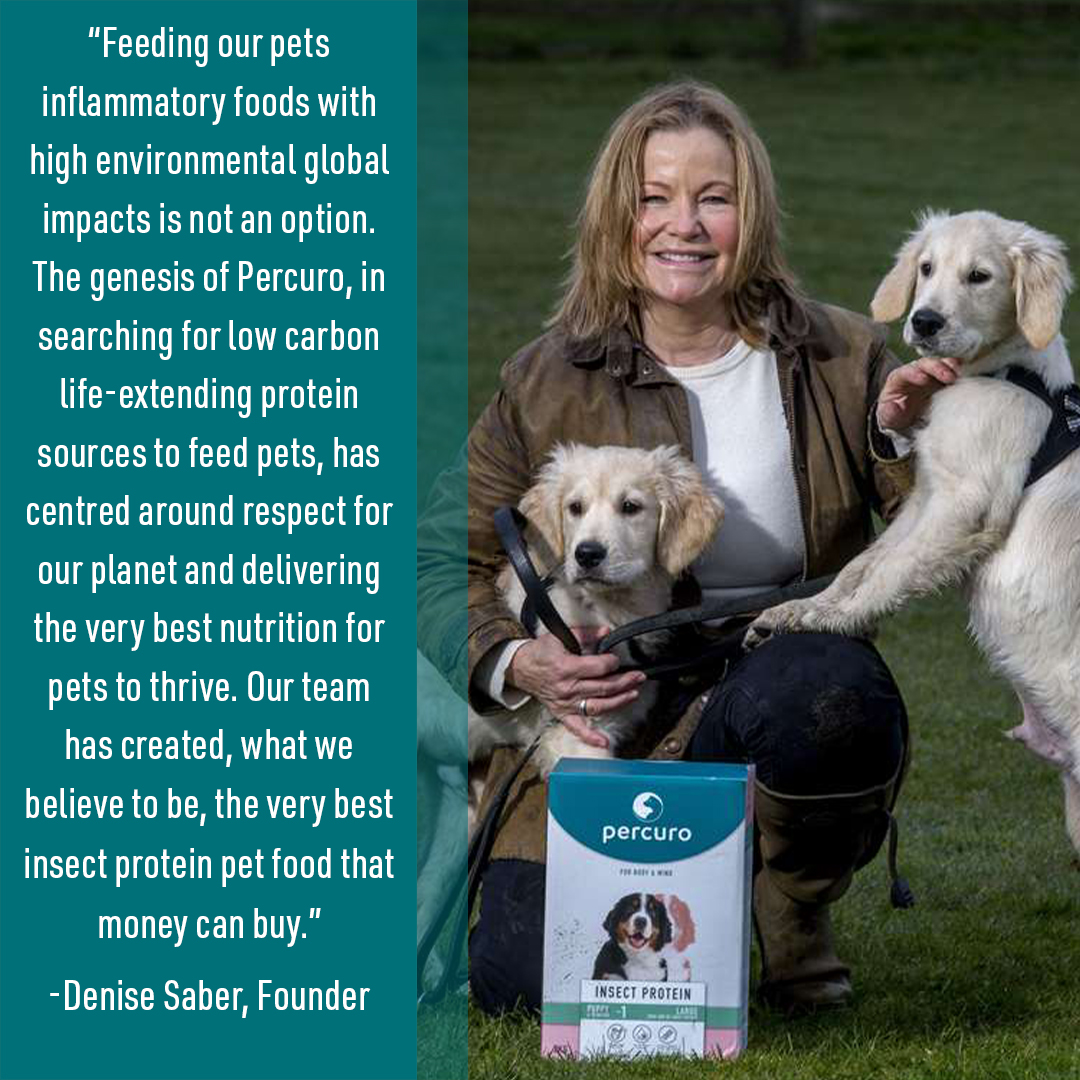 What is the genesis of Percuro Pet Food?
Percuro's Founder, Denise Saber explains the origin behind Percuro.
#founder #sustainability #startup #climatechange #insectprotein #antinflammatory #planetfriendly #petfood