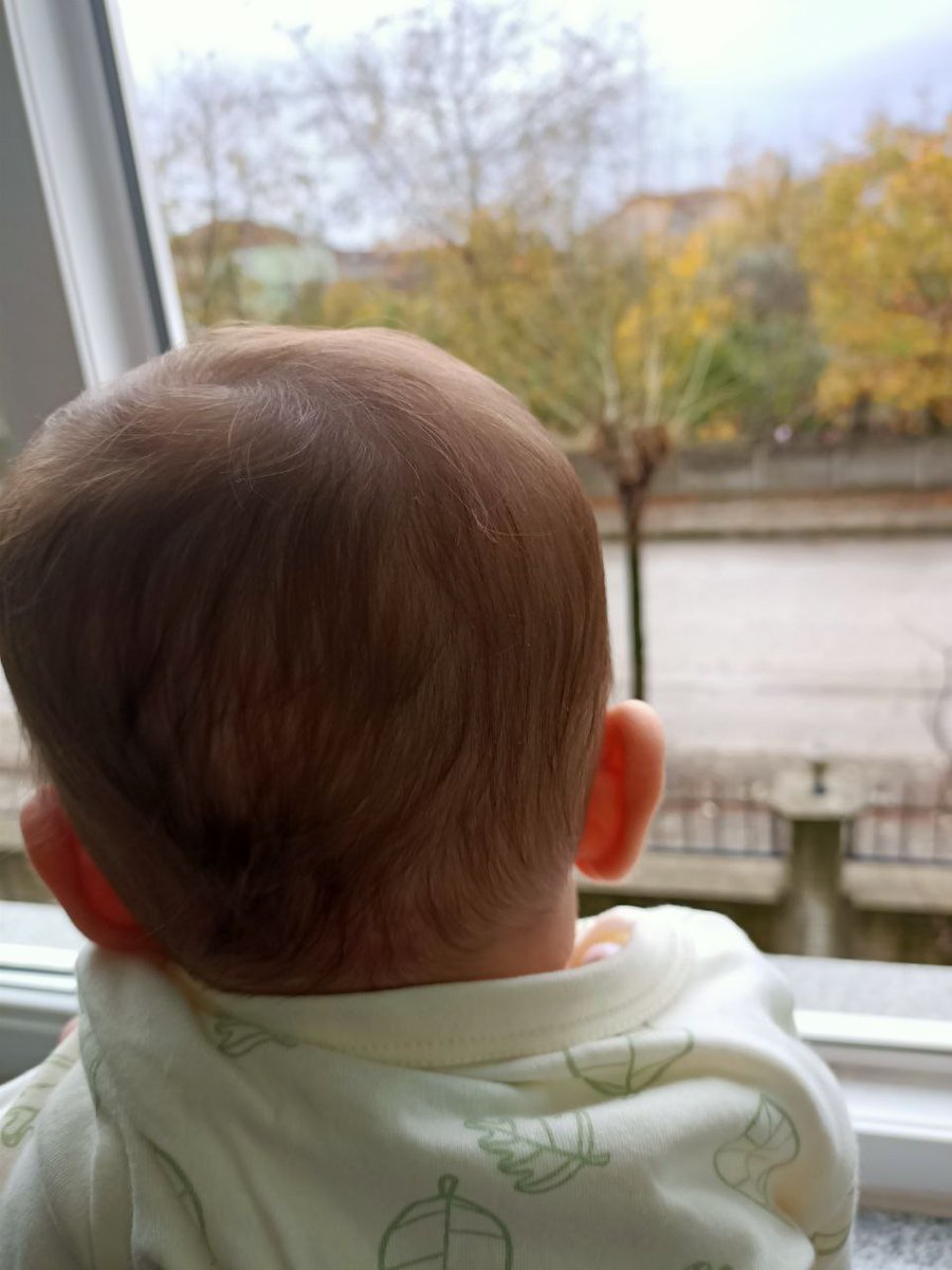 Merhaba sevgili Fikocanlar ailesi.💚
6 aydır Sma ile mücadele ediyorum 
Fındıkkurdunuz büyüyor sahi ne zaman tutarsınız ellerimden.
Bir gün bu camın ardında koşup oynayabilecekmiyim.🌿🎈
#Kucoin #Metinkülünk #ekremimamoğlu #sasa #Beşiktaş #Çinkonsolosluğu  #SpotifyWrapped #JHOPE