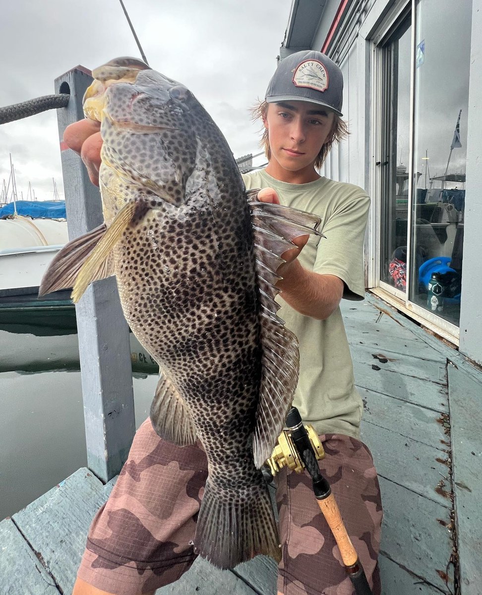 phenixrods's tweet photo. In the cold winter months, it takes persistence, proper presentation, and the right rod for the job to catch spotted bay bass.
( #š· @g.a.v.i.n.t )
#phenixrods #phenix #fishing #baybass #catchandrelease
#harbourfishing #dockwalk #swimbait #bassfishing https://t.co/XL8uPXEtqV