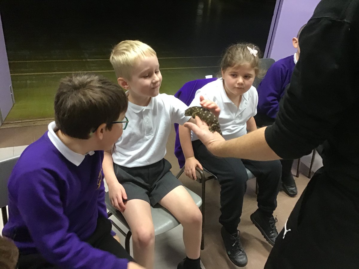 AllSaints_SF's tweet photo. Neptune class also had a visit from @ZooLabUK They learnt lots of interesting facts about habitat, diet and country of origin.
Not too keen on Elvis the Tarantula!
@CEO_DEMAT @DEMAT__ #handsonlearning #classroom https://t.co/acDde3YGKa