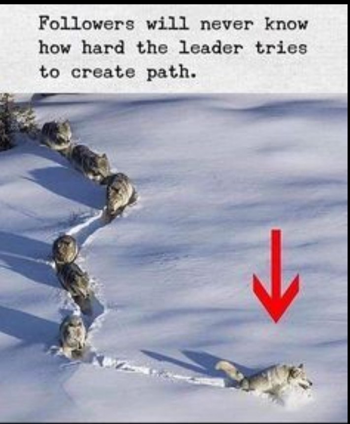 #Horizontal_Management
#Leadership