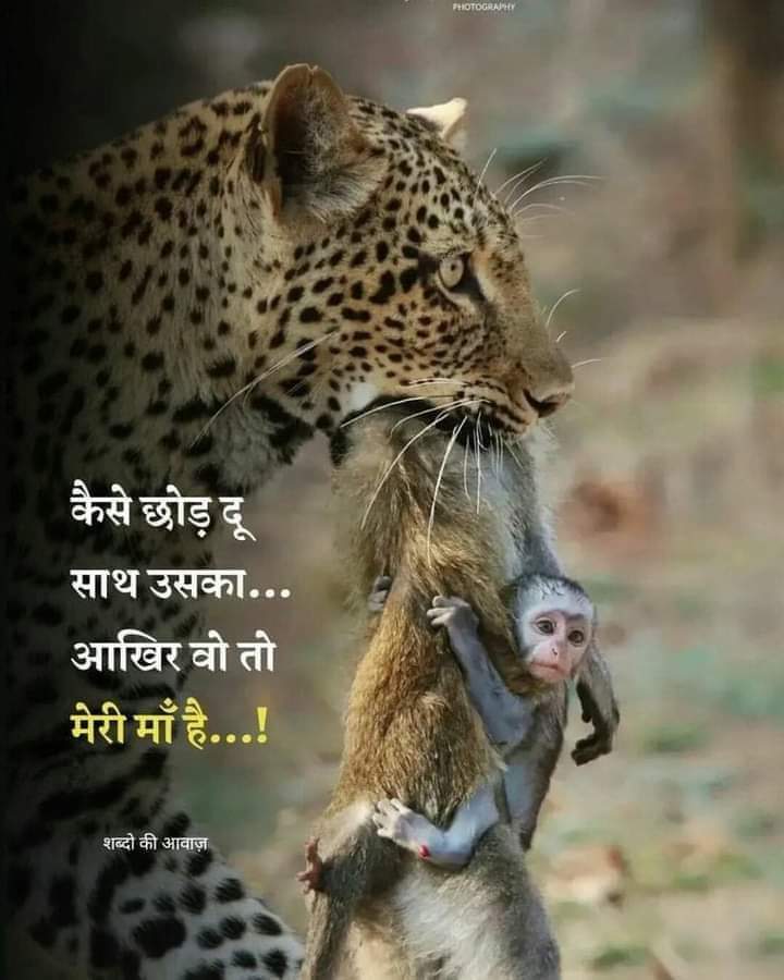 😌#पिता के बिना दूनिया 😇 #माँ के बिना ज़िन्दगी सुनी हो जाती हैं #शुभ_रात्रि