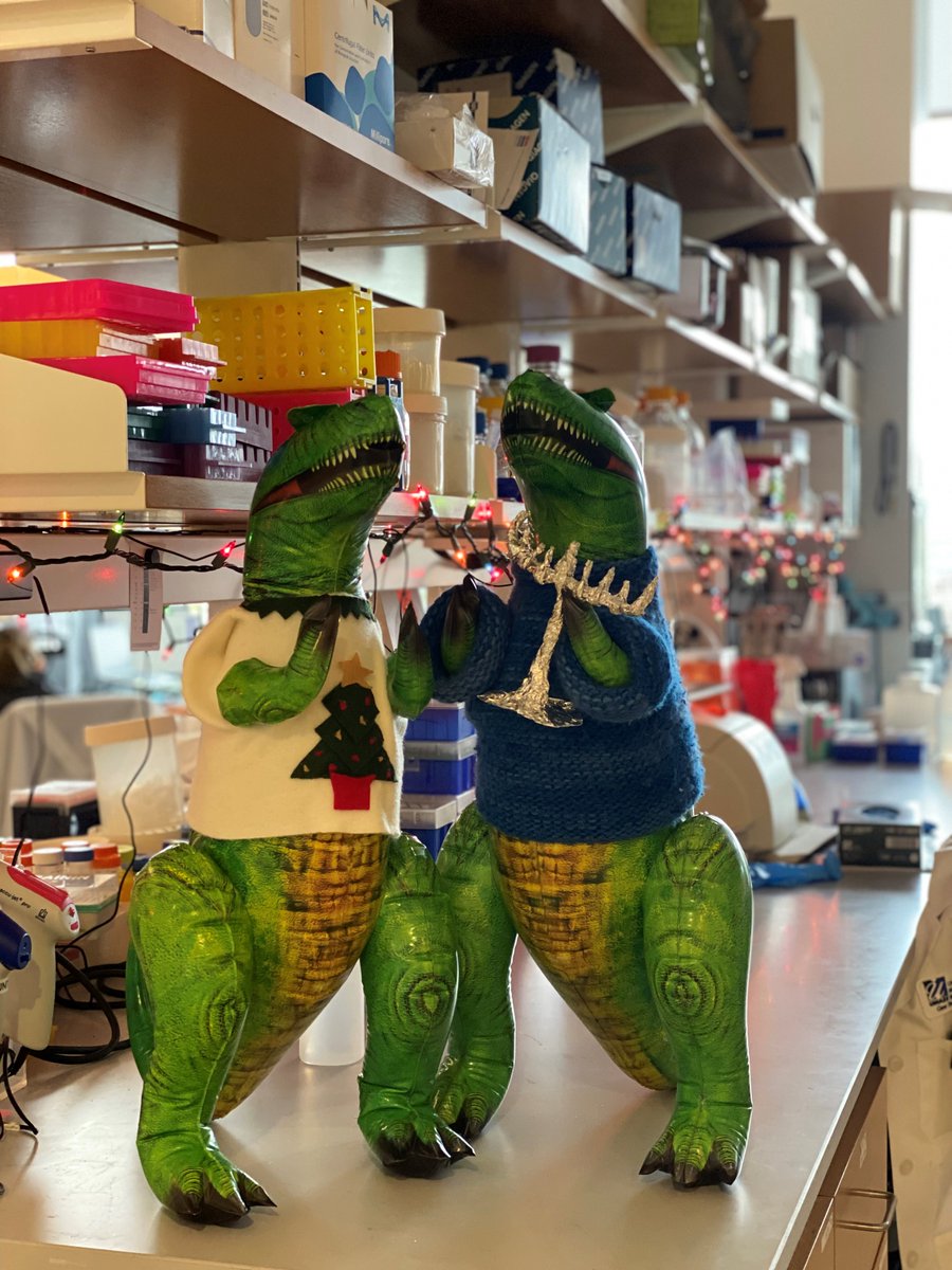 KeelerLab's tweet image. Getting excited for the upcoming Holidays. We've transformed our space into a Winter WonderLAB!🦖❄️⛄️